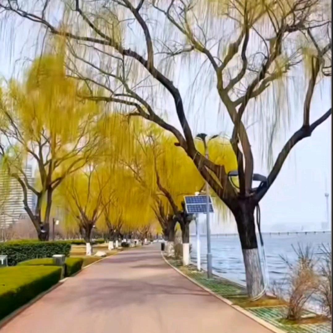 知足常乐