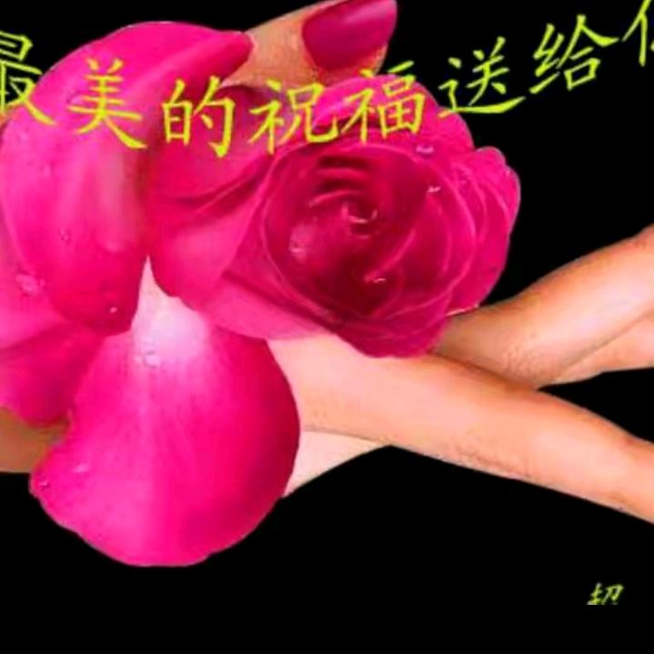 小仙女