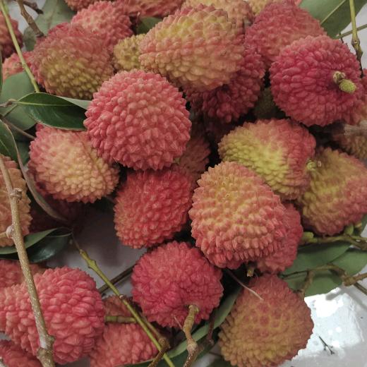 厚德载福（长安）