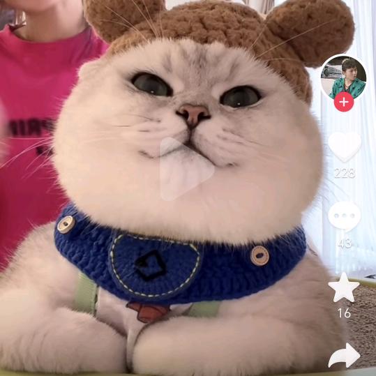 芳芳妈（每天12：20直播）