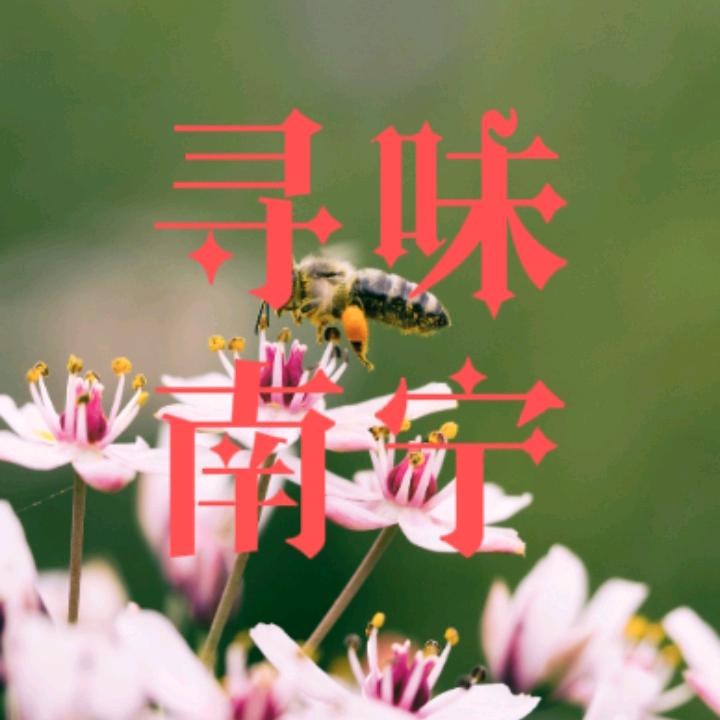 老姜寻味南宁
