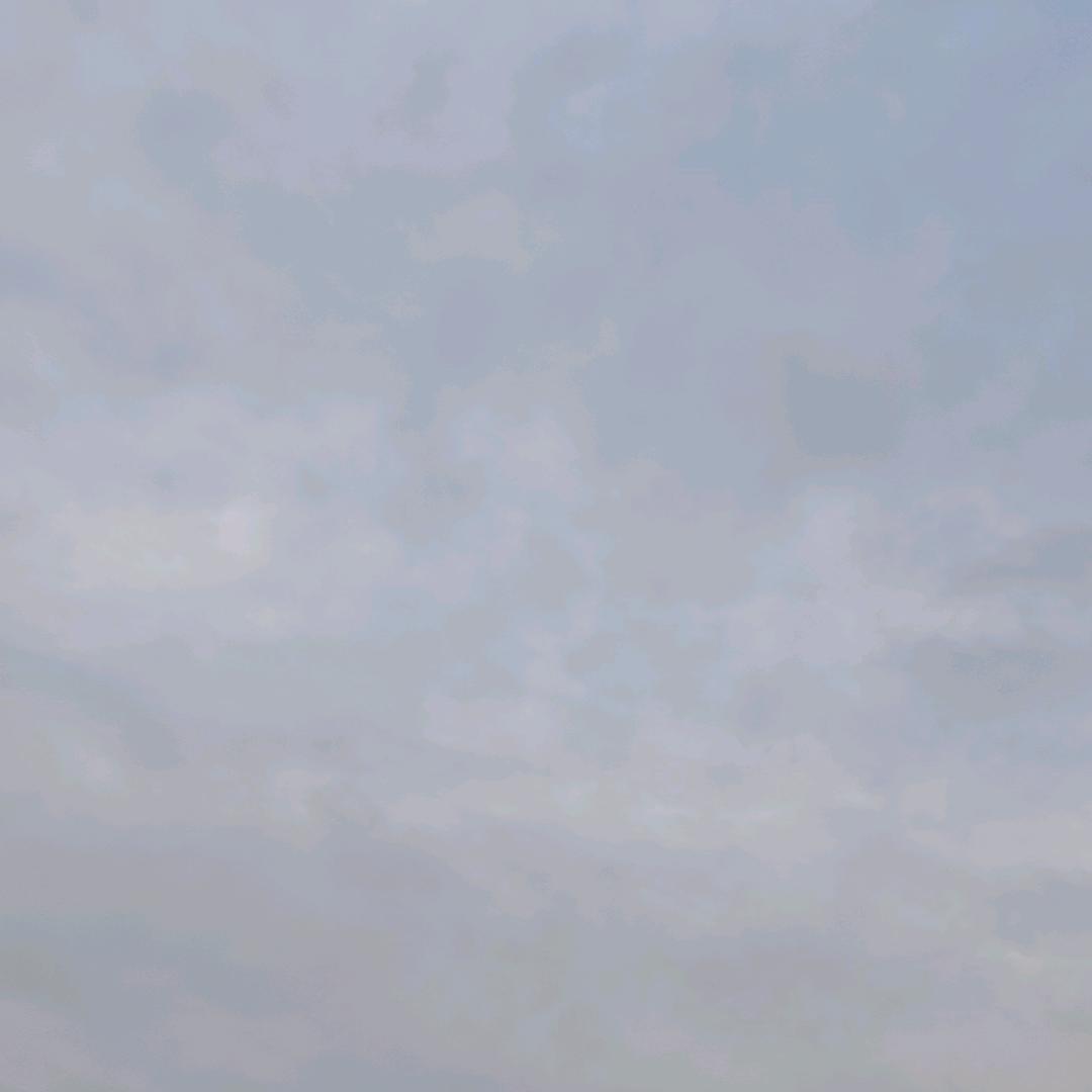 *文李”