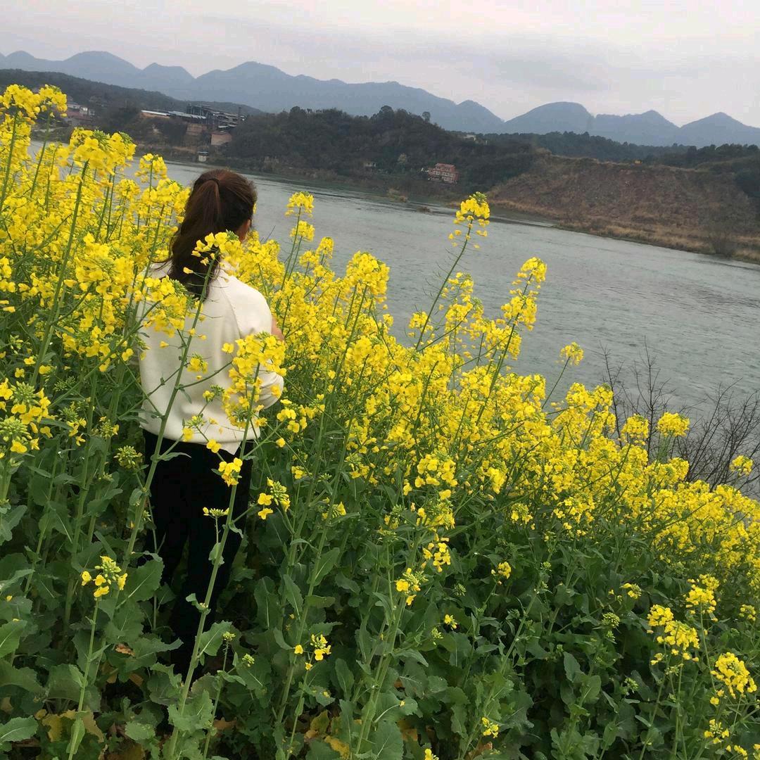 随心所欲（糊）