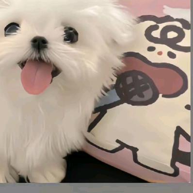 谁敢来战！（三角洲代肝）