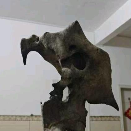 新诚奇石