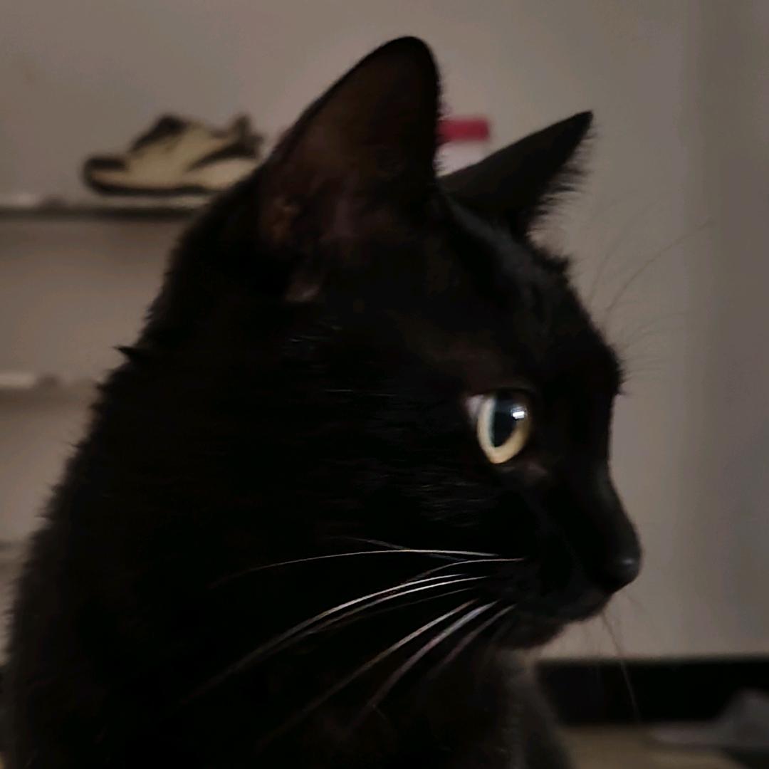 看似内核稳定其实思绪乱飞