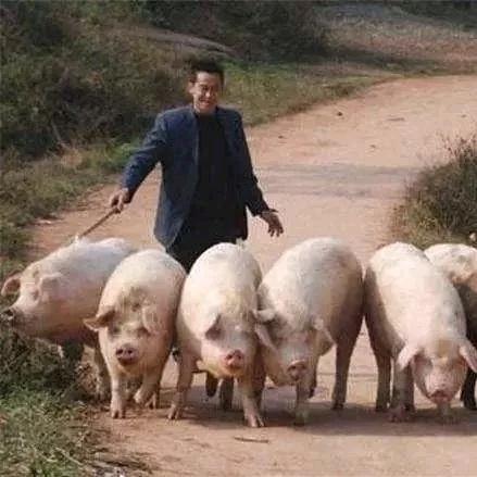 河南森澳达生物科技有限公司