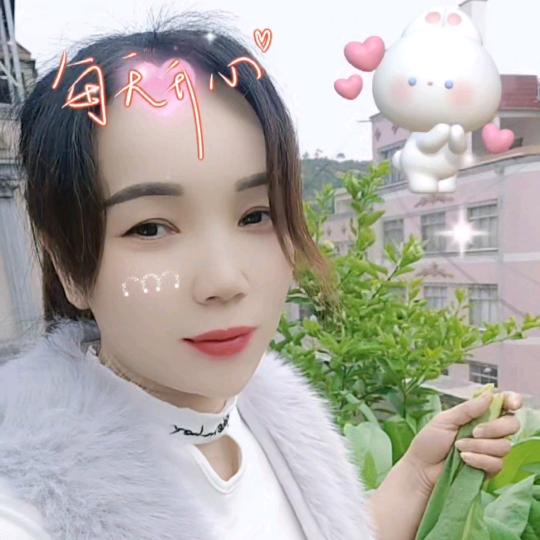 无聊果