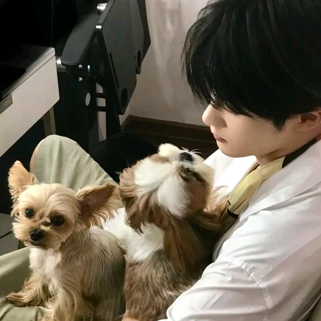 檀椿铭·𝕐𝕀（备战高考版）