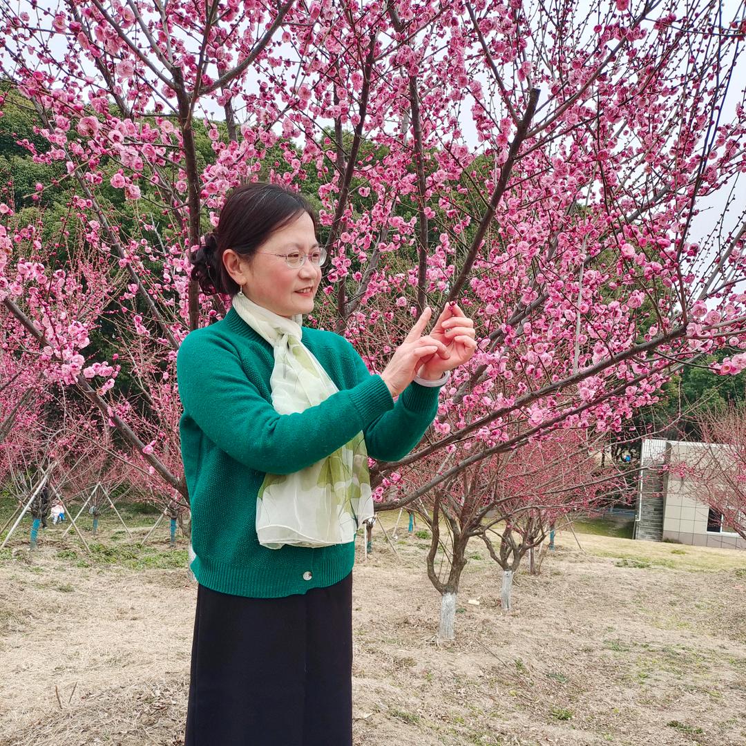 沉鱼落雁
