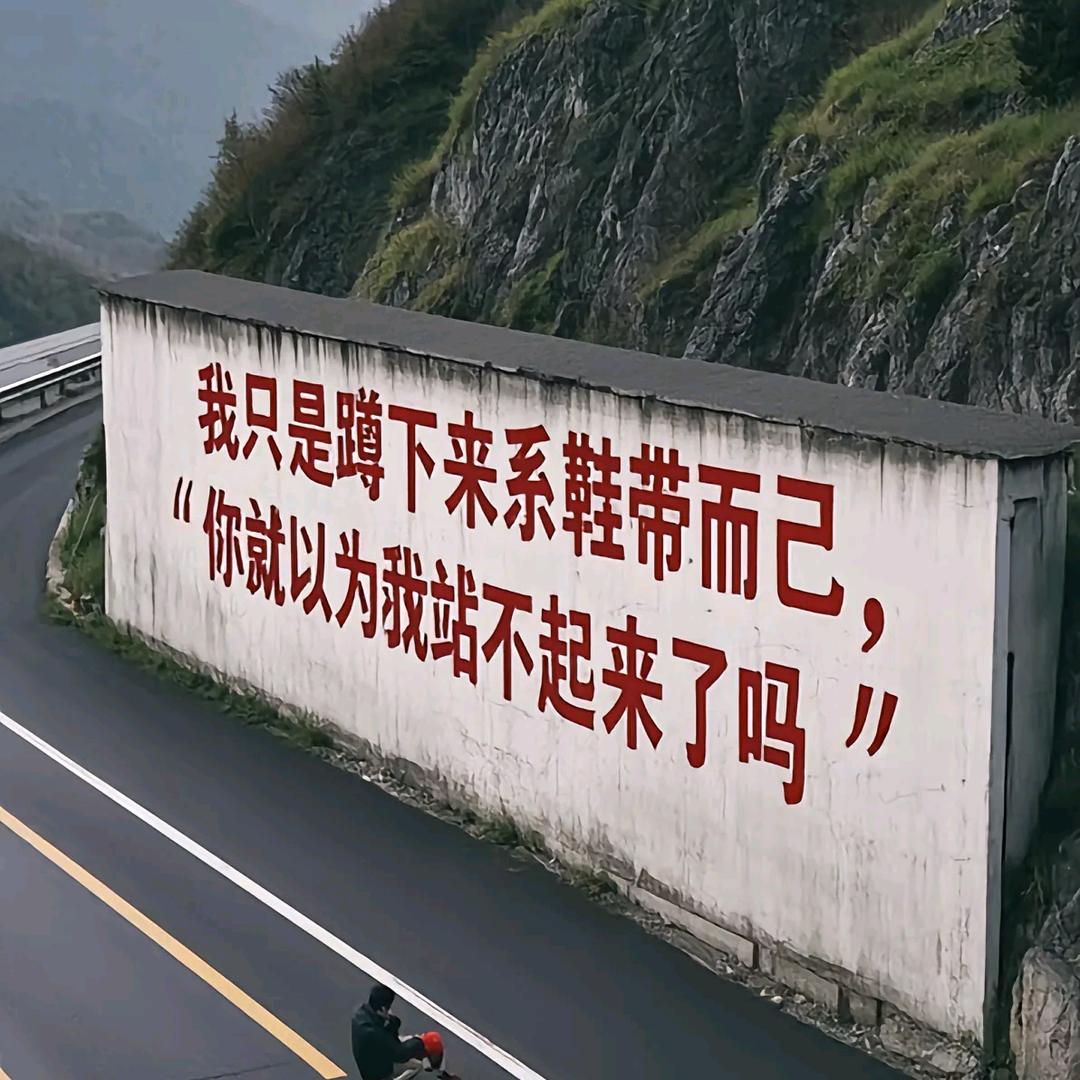 搞砣不清
