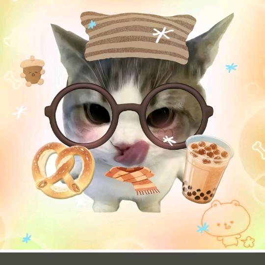 可爱猫。₍˄·͈༝·͈˄*₎◞ ̑̑