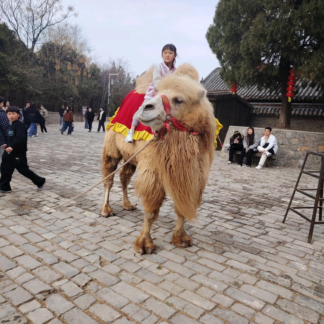 易之快客眼镜店