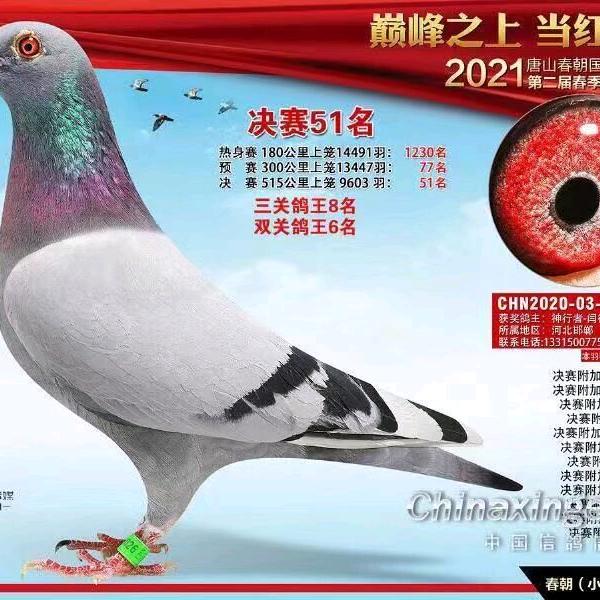 神行者…闫