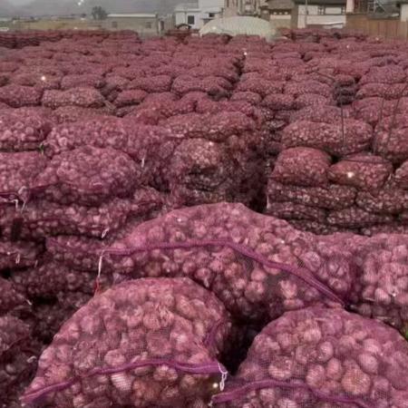 凯里市佳祥香蔬果批发部