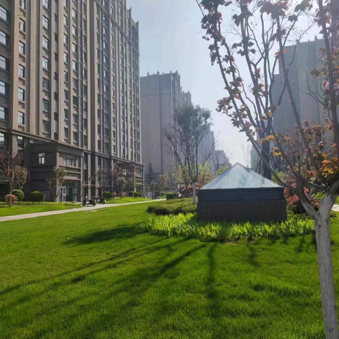 领地未来城小刘