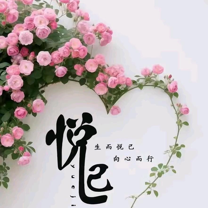 中国平安<丽>