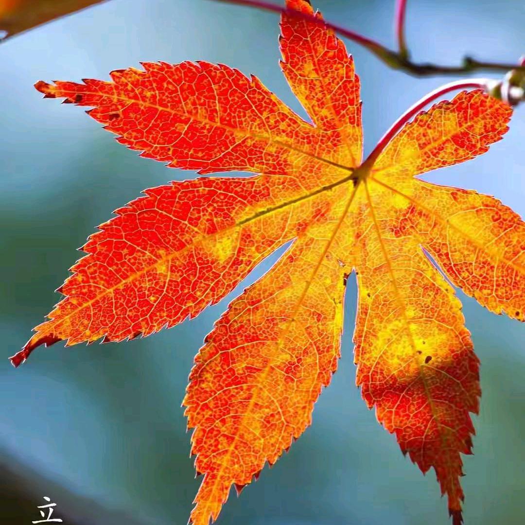 水处理 - 聚丙烯酰胺