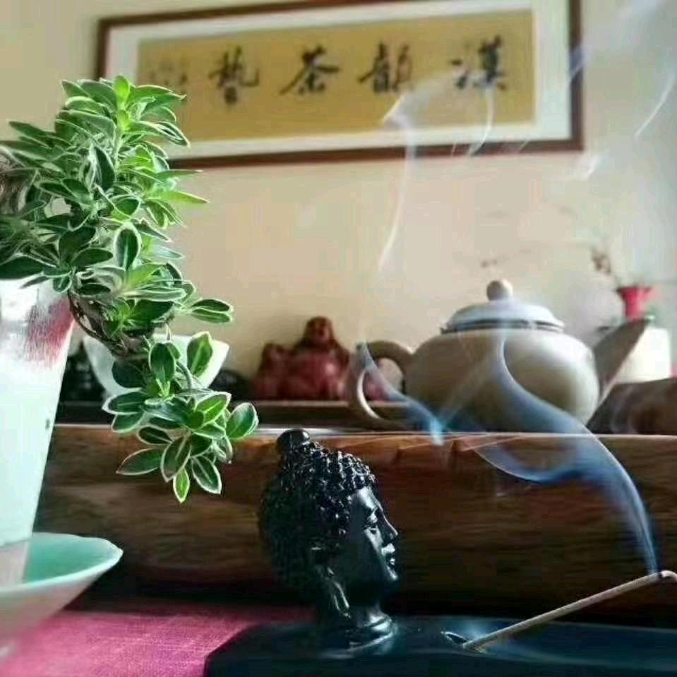 茶香飘逸