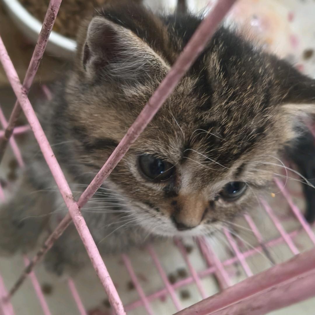 小小雨