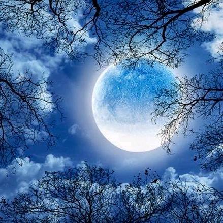 寒霜（戒谷版）