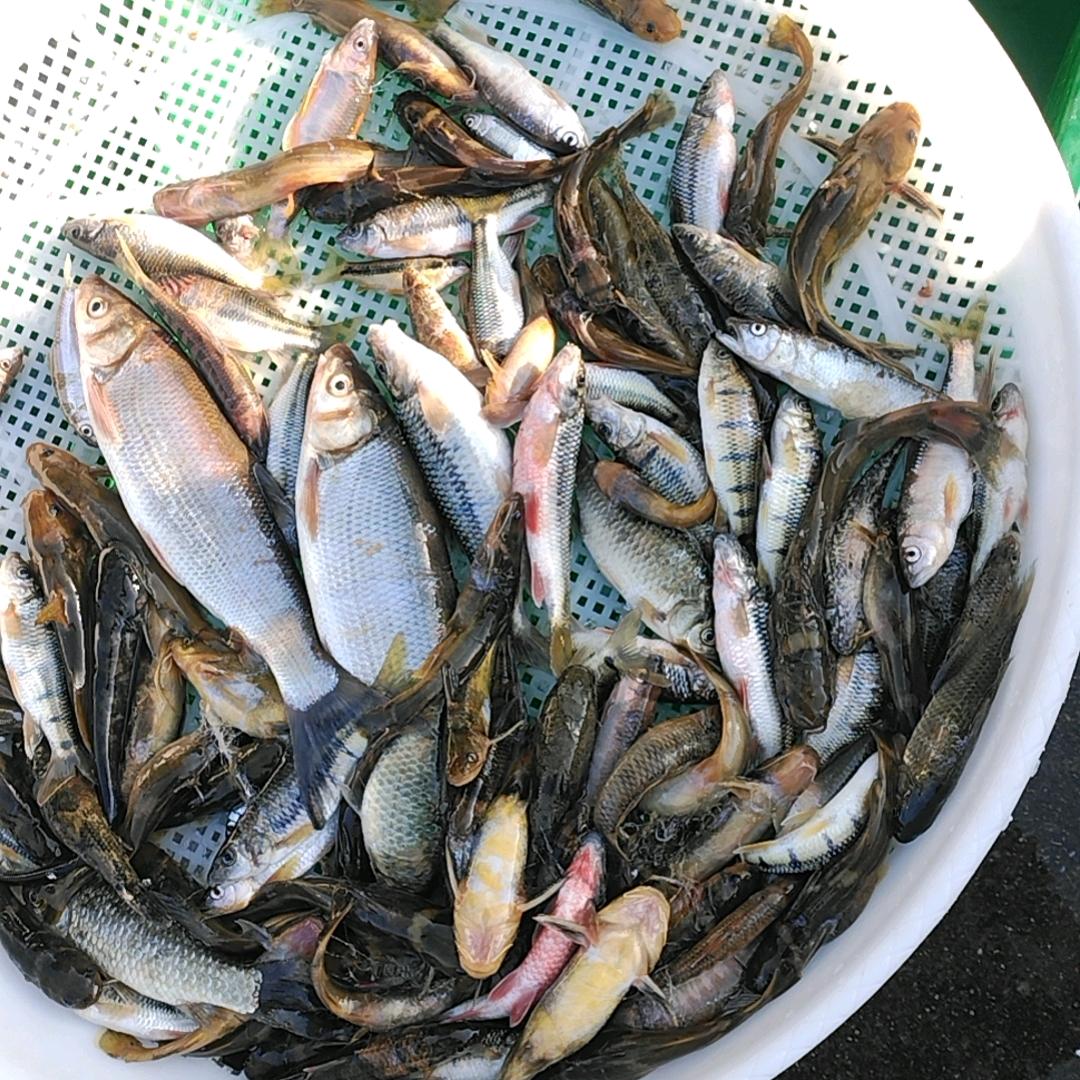 幸福 快乐一辈子