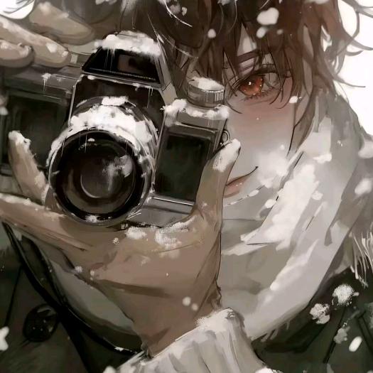 鱼香肉丝盖浇饭