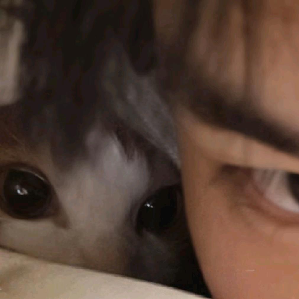 从你的身边路过