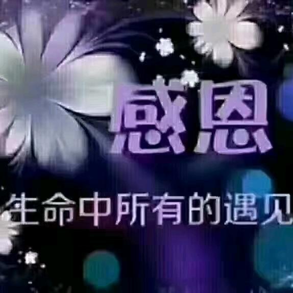 红心❤