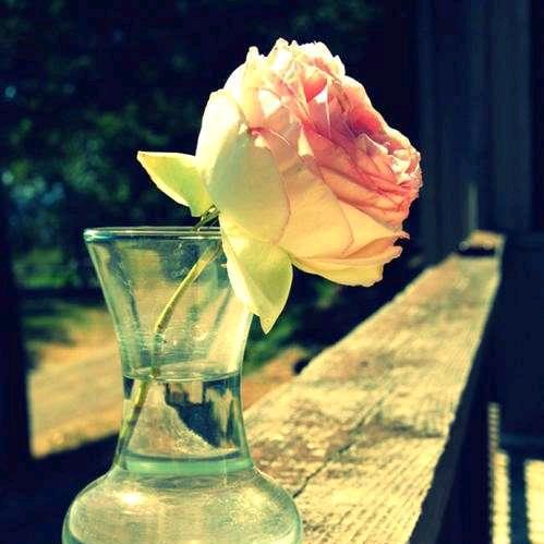 小米山歌（努力中）