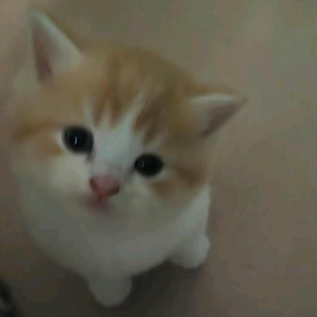 妈妈