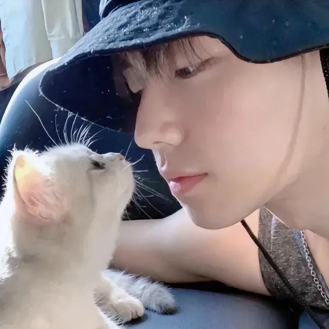 一只猫 🤡