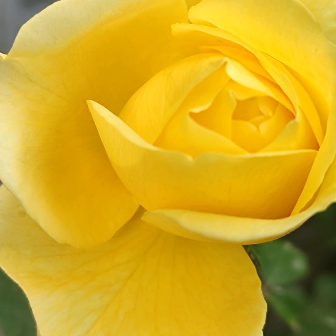 明天会更好， 拒绝私聊