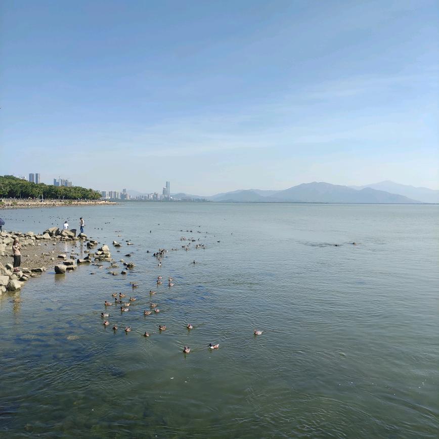 半只小手拉大手