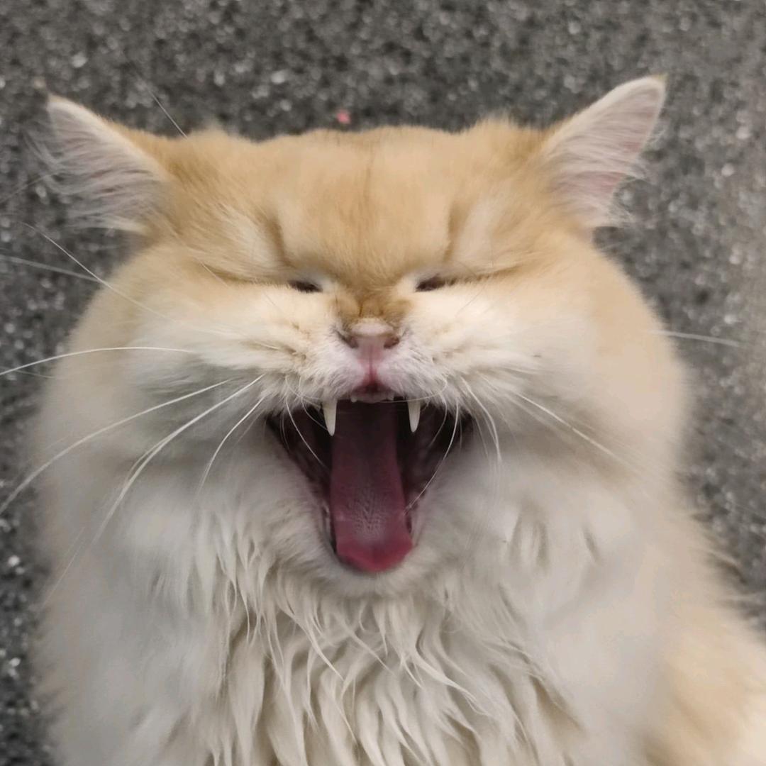爱修勾