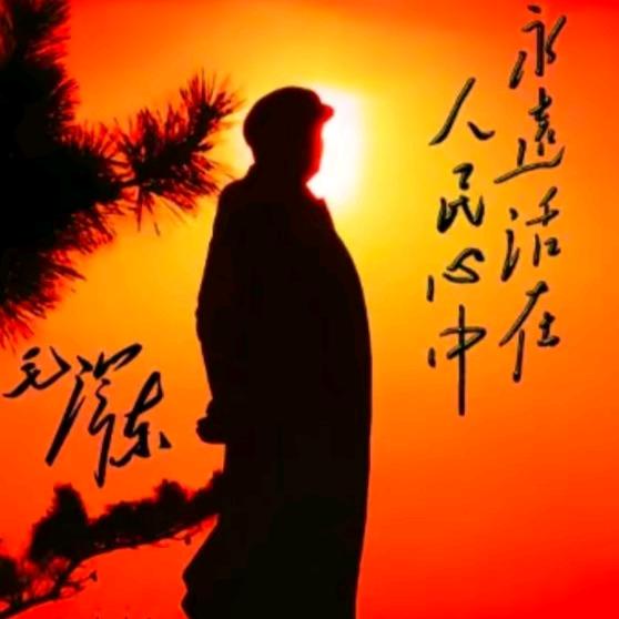 邓G/