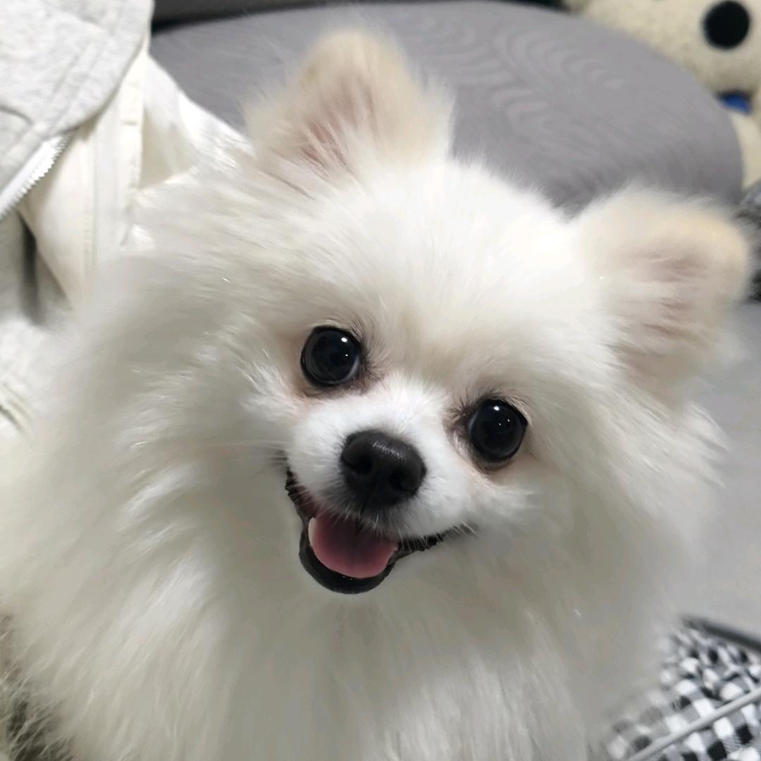 修勾大人