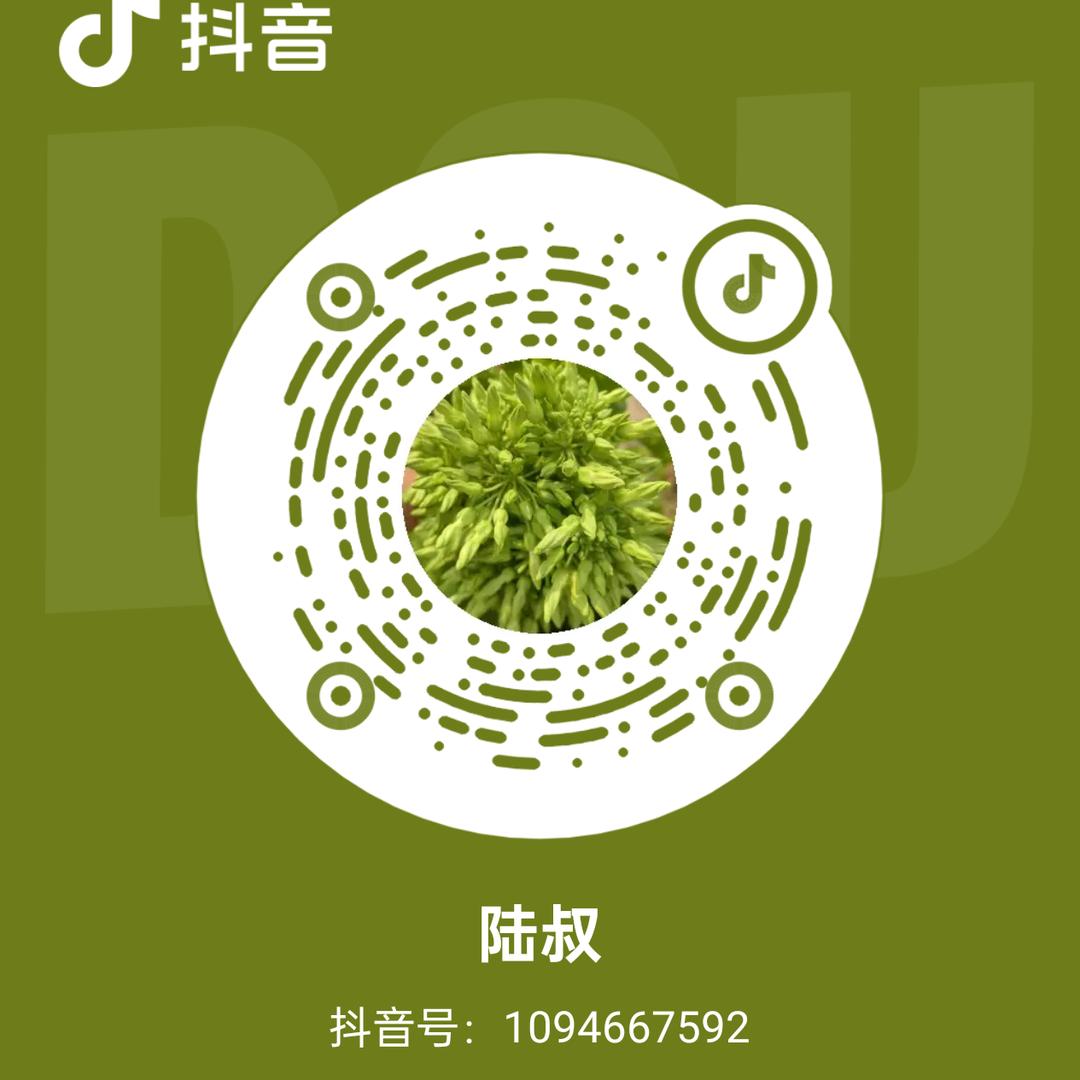 陆叔