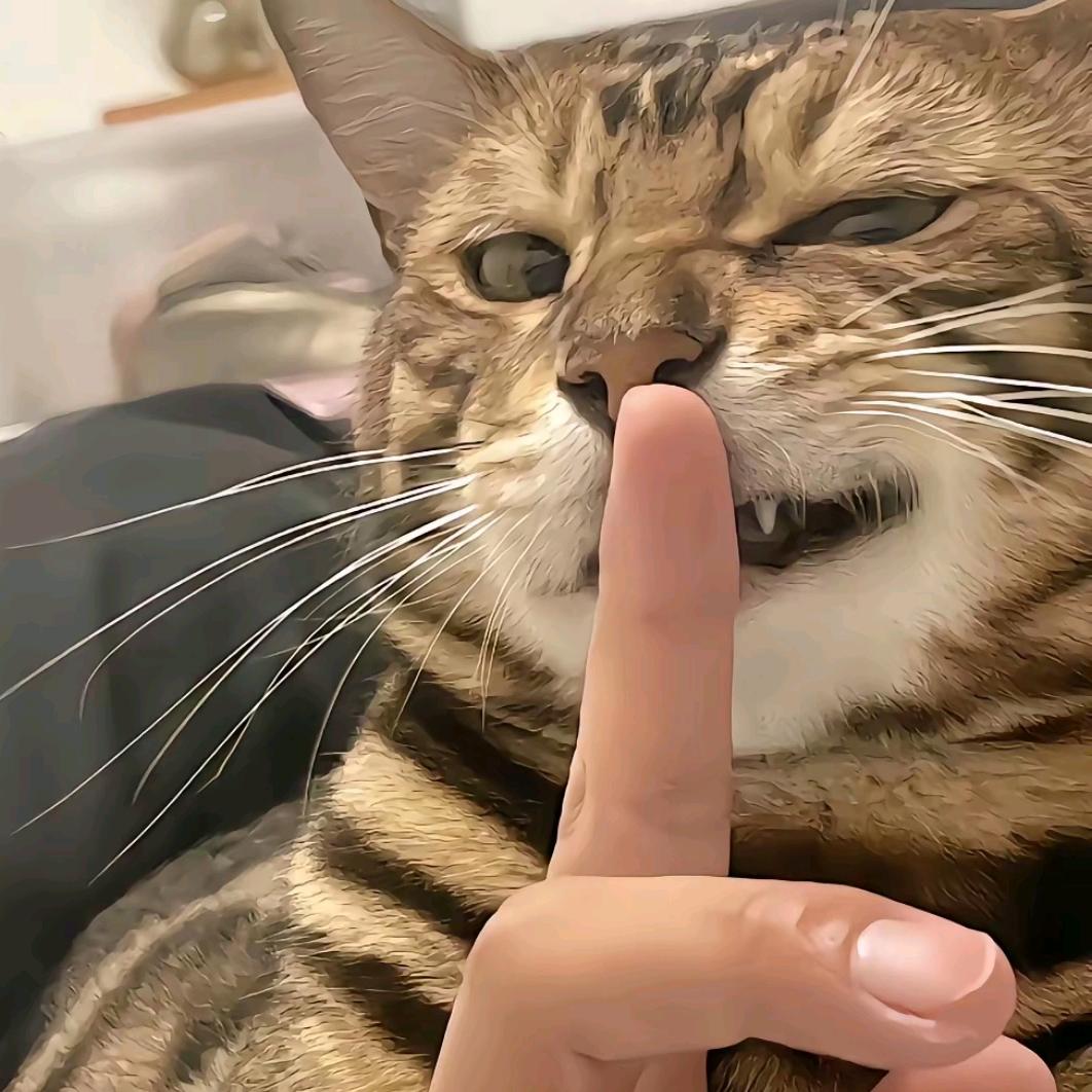 小五