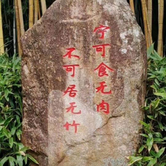 💫伴你左右