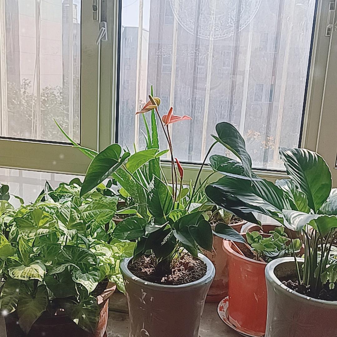 永谙  下午6点10分