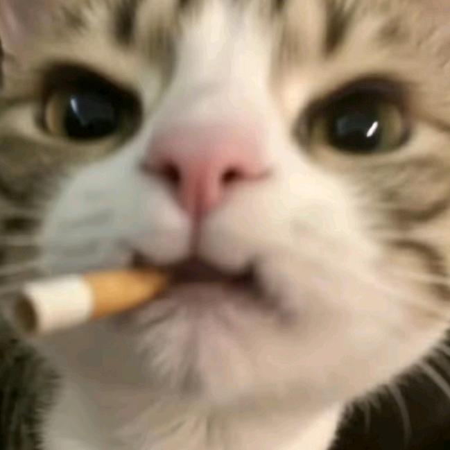 尸兄