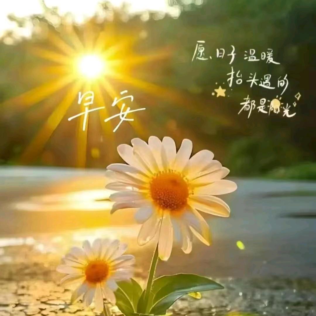 欣欣 ❤️❤️ 爱山歌