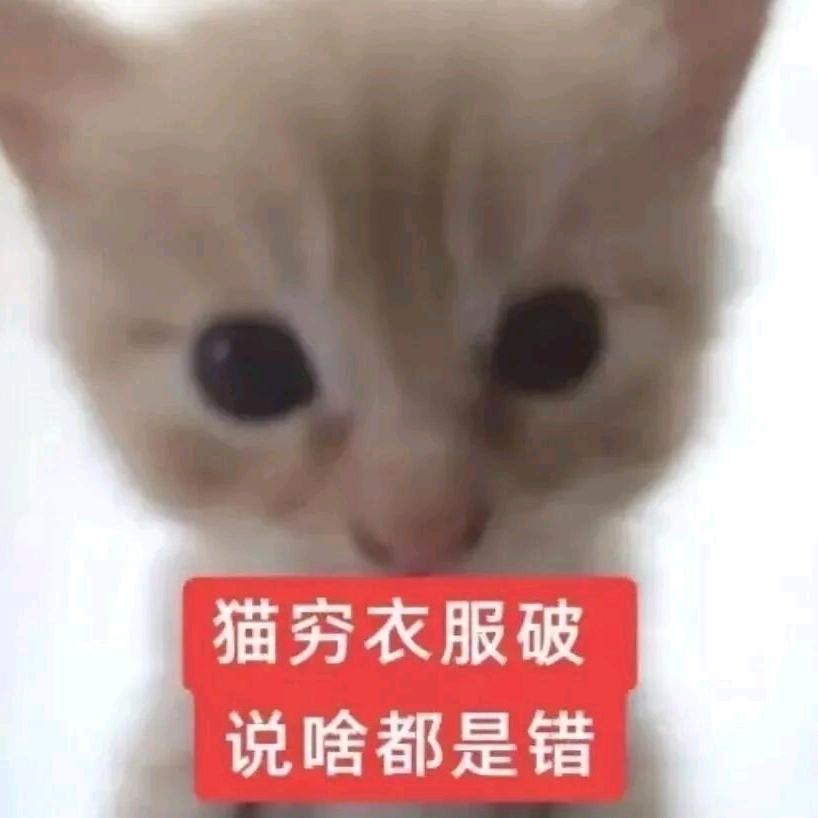 前任是同