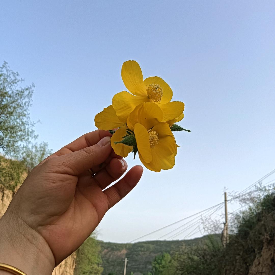 岁月静好，一生所爱