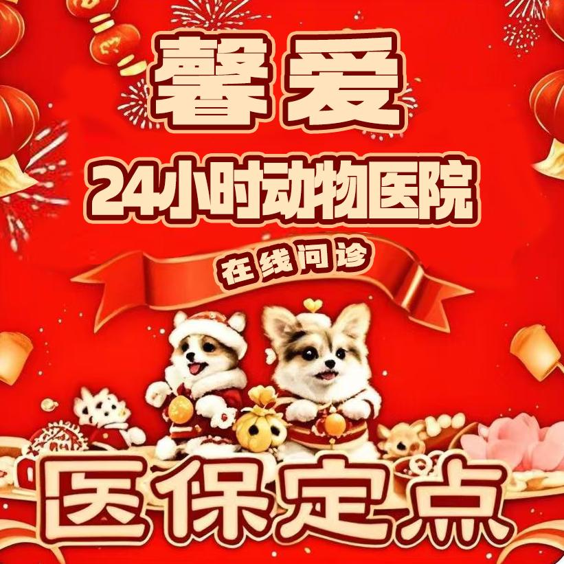 馨爱动物医院24小时疑难重症·骨科中心