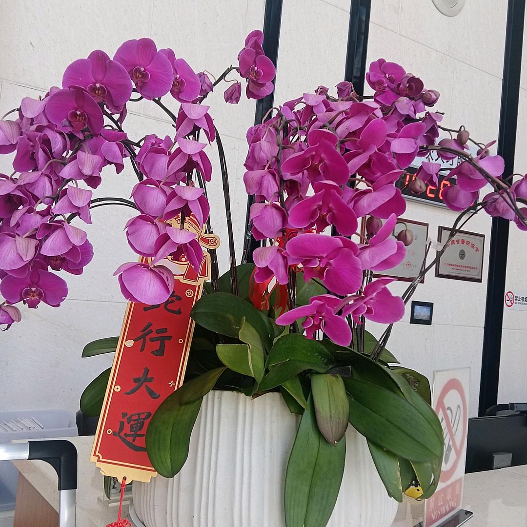 周广芸