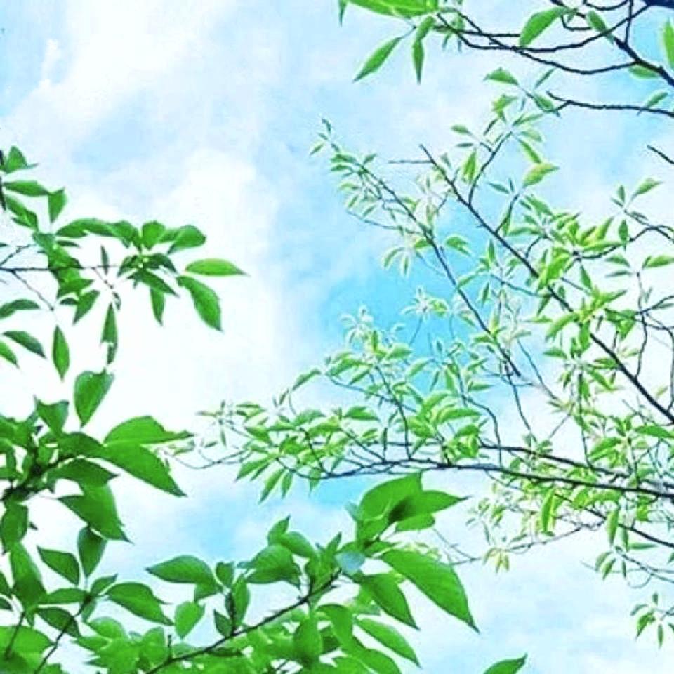 ☾⋆˖ღ᭄浅茉࿐🍁