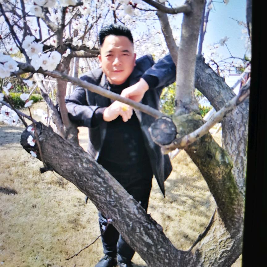 箭一段日光解心中忧伤