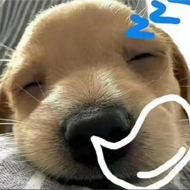 Echo~哈哈